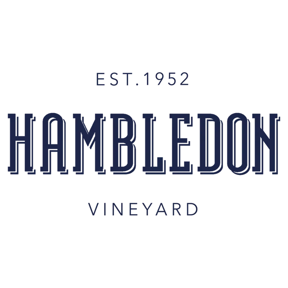 HambledonLogoblue6.webp