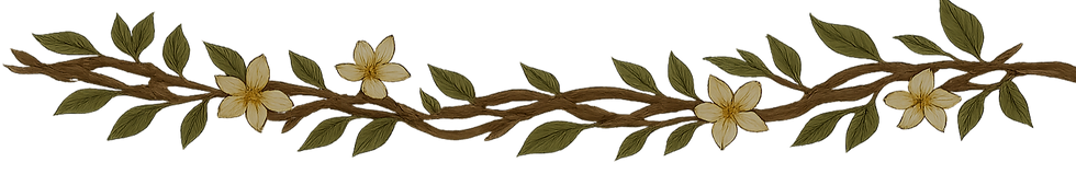 Floral stem with olive green leaves and small white flowers on black background.