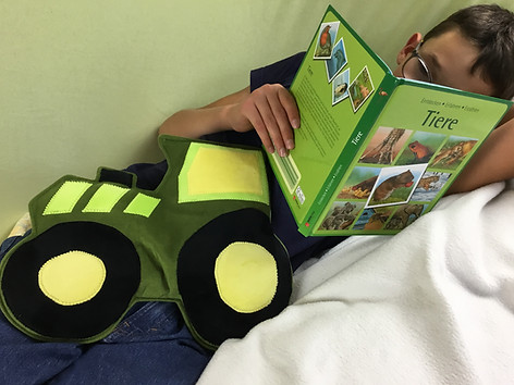 elja gewichtstier traktor gruen gross beim lesen.JPG