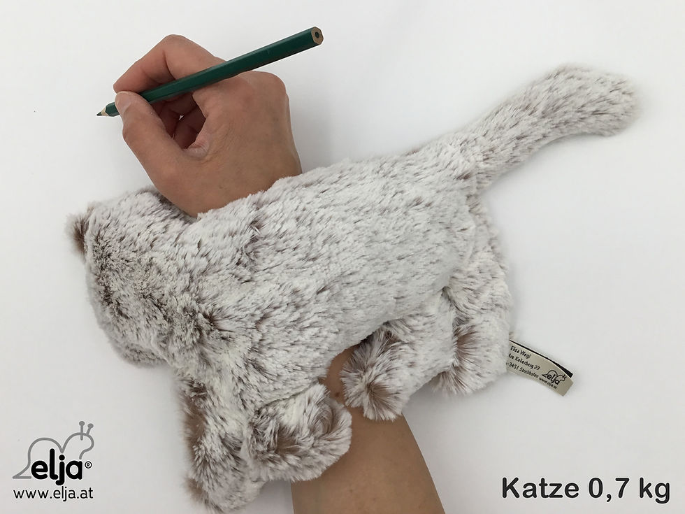 Miniaturbild: elja Gewichtstiere Katze Samira Handführung