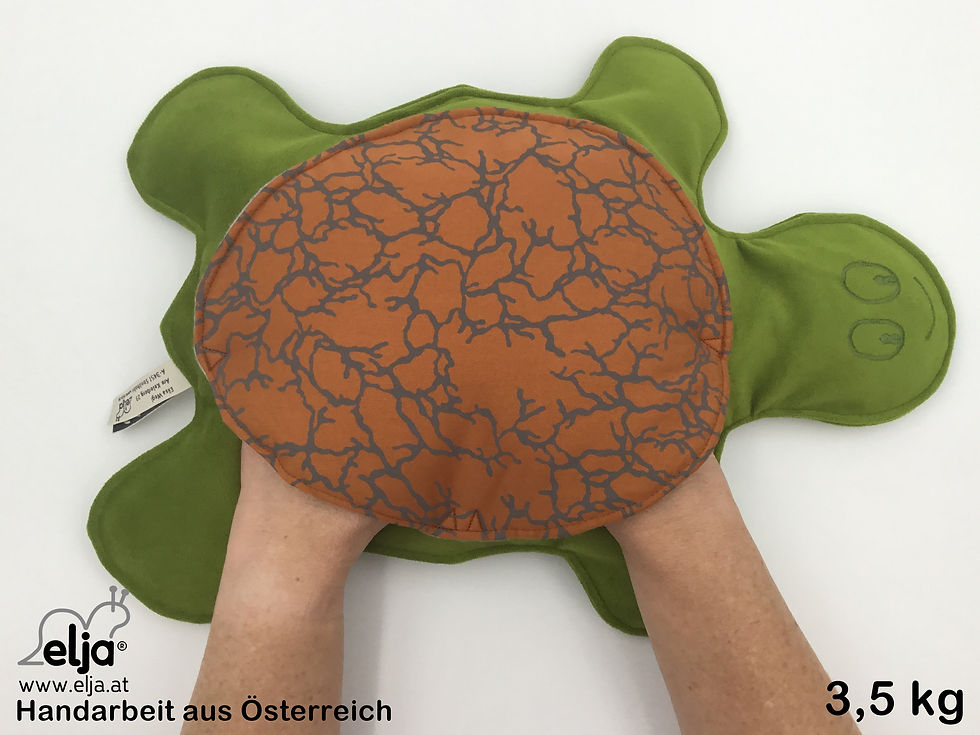 elja gewichtstier schildkröte magdalena Hände im Panzer