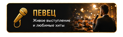КНОПКА - SINGER.png