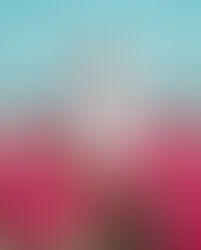 LO JUSTO Y NECESARIO