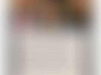 From Trump Tariffs and JGB Crisis to AI Bubble Rupture: Bridge360 Metatheory Model lens perspective of shared entropy budgets in a multi-attractor global system