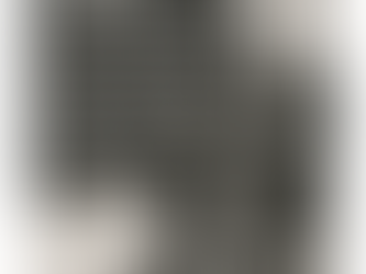 "...a category mistake people often make when they accuse LLMs of “hallucination.”"