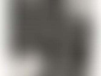 "...a category mistake people often make when they accuse LLMs of “hallucination.”"