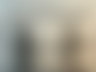 Assessing Palantir's conceptual and theoretical frameworks: Applying Bridge360 Metatheory Model lens