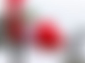 Nuestra amada bicolor: 141 años de historia ¿ que tanto sabes de nuestra hermosa bandera del Perú?
