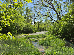 20260504_114134.jpg