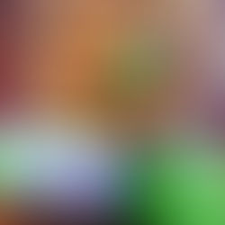 Budget Friendly Mince Roll