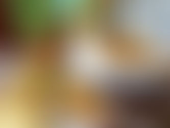 White Beans and Carrot Samosa