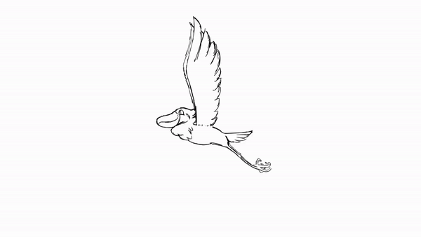 shoebill flight gif.gif