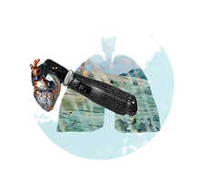 Health 2(no background).png