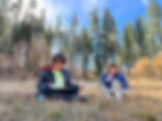 granite in forest_edited.jpg