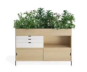 Stylish Units Neat Green
