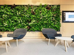 How A Living Wall Can Transform Your Office Environment