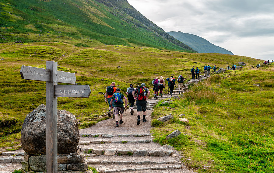 What Wildlife Can Be Spotted On Ben Nevis Guided Walks?