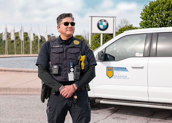 dsiparan DSI Security Services