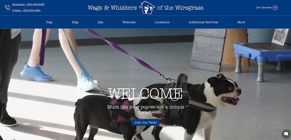 new website screenshot.png