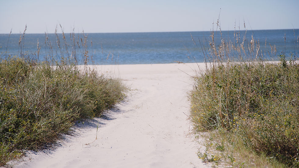 Hotel Saint Joseph near Mexico Beach