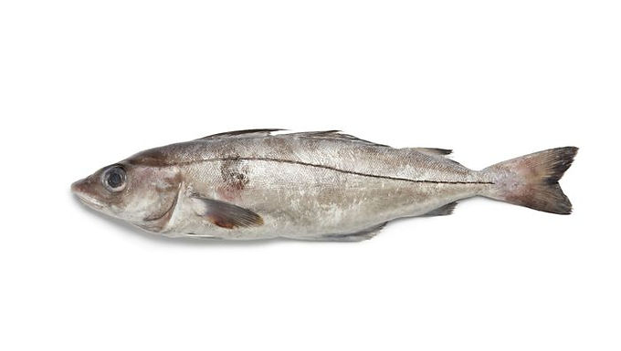 Abadejo