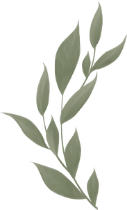 GNP botanical 4.png