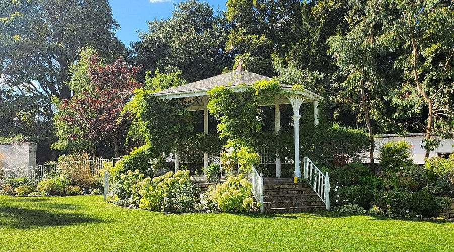 garden 2.jpg