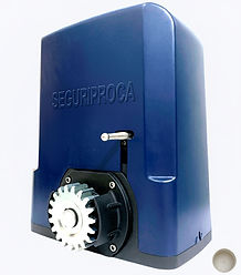 Motor Fiorimatic Tauros LX 800 Kg Porton