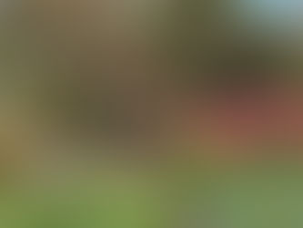 Blog #3 June 1st, 2021