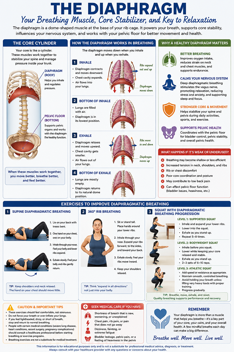 summary of the diaphragm muscle, improved breathing efficiency, and how to incorporate breath training