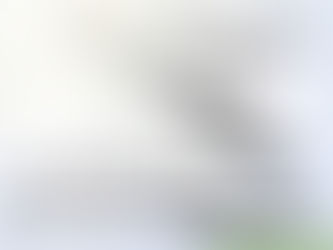 One Piece vs. Two Piece (Explained)