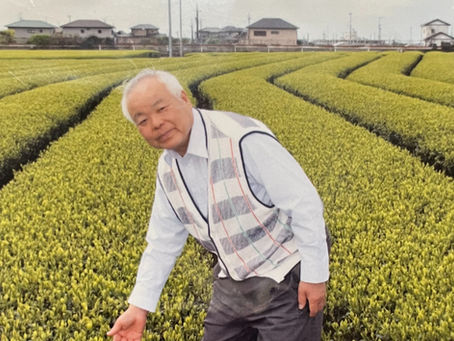お茶飲んで元気に長生き百歳！百歳！