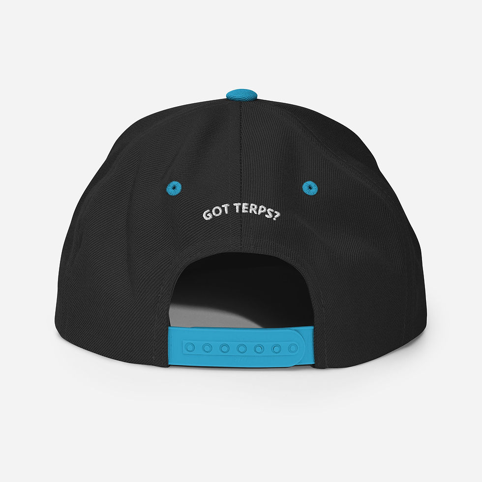 Pikkukuva: Lid Glass Snapback Lid