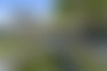 ההכרה ביכולת לבחור והכח העצום שבקבלת החלטה