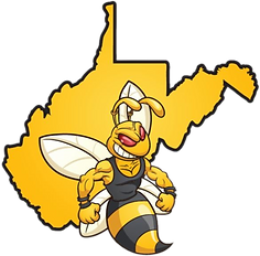 TRANSPARENT STING STATE_edited.png