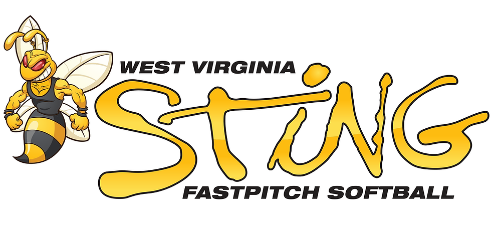 WVSting-Logo2.png