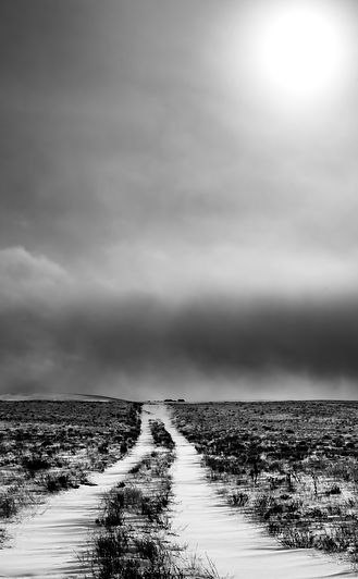 Backroads, b&w, colorado,