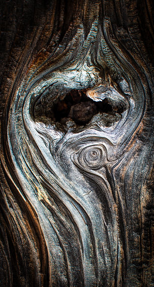 Driftwood, abstract, minimal