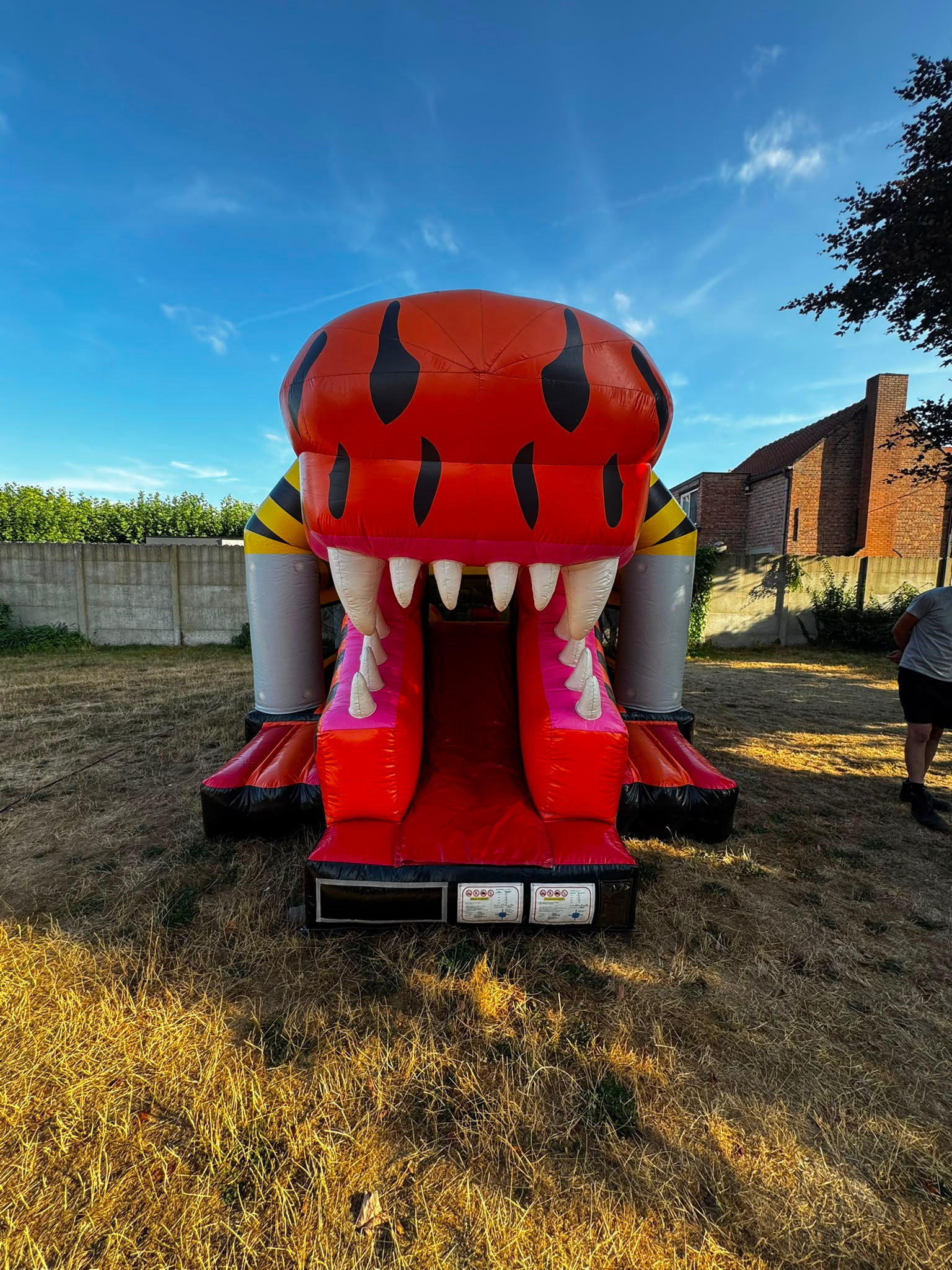 T-REX
