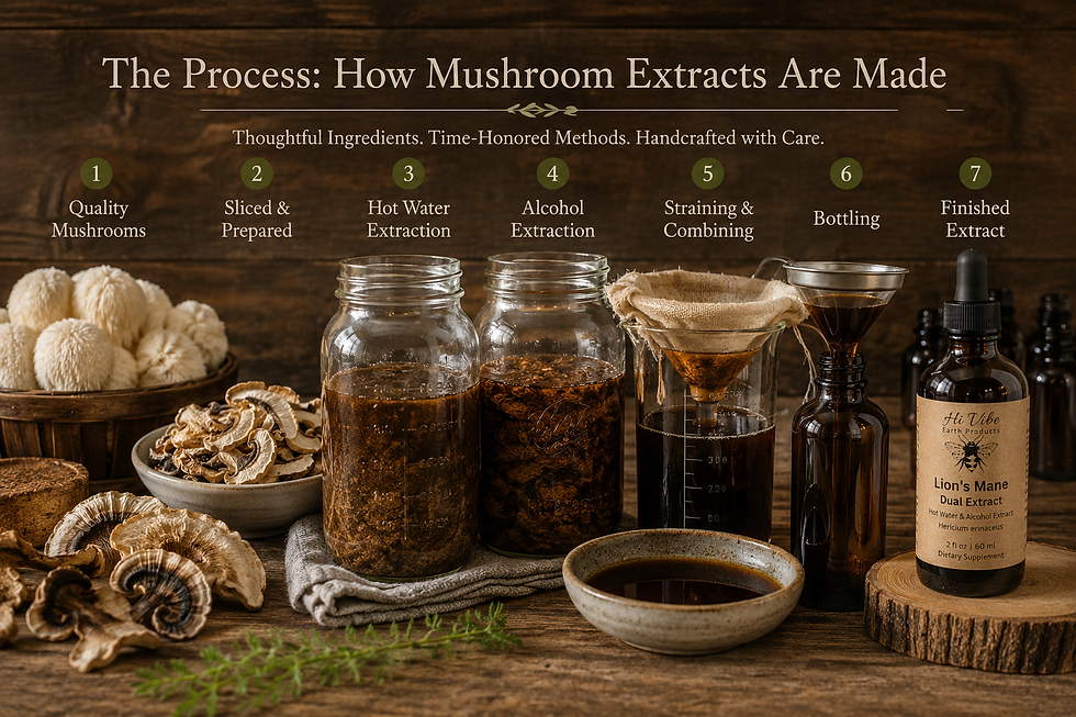 How Mushroom Extracts Are Made: Understanding Dual Extraction