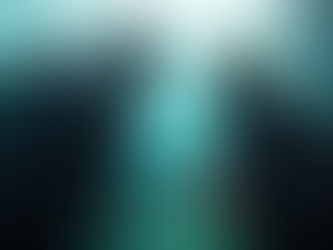 Choosing Between PADI and SSI Certifications: A Friendly padi and ssi comparison