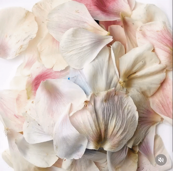 ezgif.com-gif-maker (3).gif