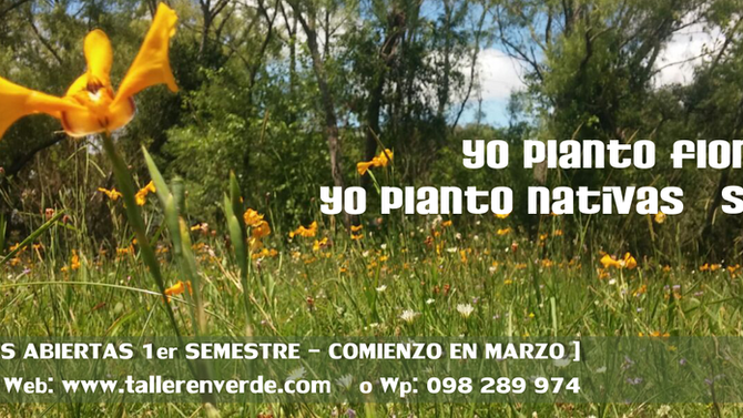 Flores silvestres en el Jardín