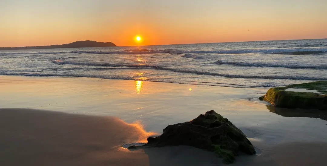 5meo_sunset_cut.webp