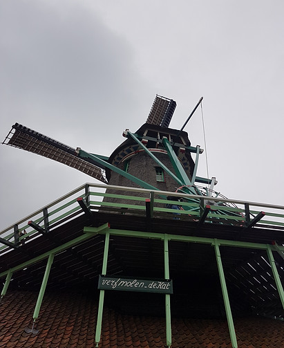 20180413_125121.JPG