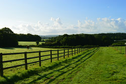 45 acres of well fenced paddocks