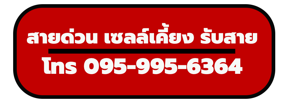 โปรโมชั่นอีซูซุเซลล์เคี้ยง โทร095-995-6364