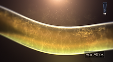 Renecell_5.png
