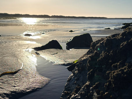 Mental Health Care During Major Life Transitions