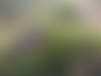 Healing Begins with Being Heard